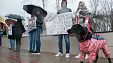 Всероссийская акция "Россия в защиту животных" в Краснодаре Всероссийская акция "Россия в защиту животных" в Краснодаре