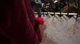 "Бессмертный полк-2018" в Краснодаре. Фото: Анна Андрияненко "Бессмертный полк-2018" в Краснодаре. Фото: Анна Андрияненко