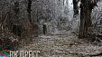 Аномальное обледенение в Краснодаре Аномальное обледенение в Краснодаре