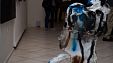 Выставка современного искусства Выставка современного искусства
