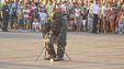 Фестиваль "Кубань - территория безопасности" - 2015 в Геленджике Фестиваль "Кубань - территория безопасности" - 2015 в Геленджике