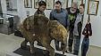 Мамонтенок Люба в Краснодаре Мамонтенок Люба в Краснодаре