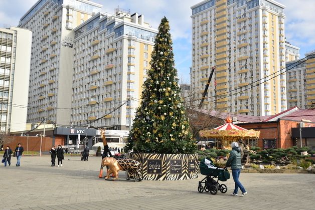 Новогодние Елки Краснодар