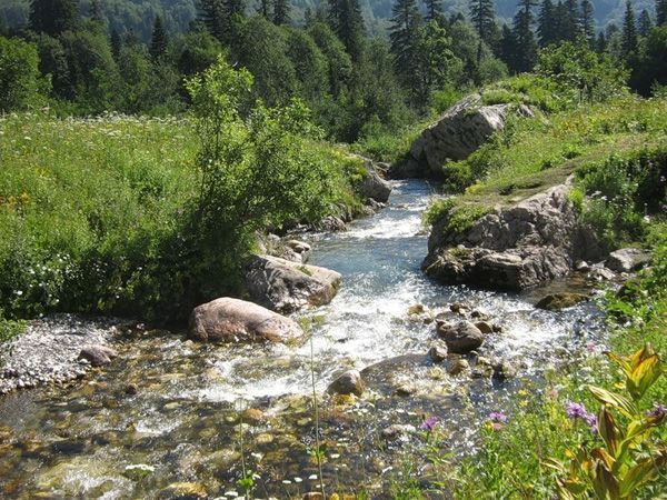 река Белая Белореченский район река Белая