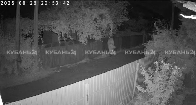 Убил из-за имени: новая версия причины расправы над «Дюймовочкой»  Убил из-за имени: новая версия причины расправы над «Дюймовочкой»