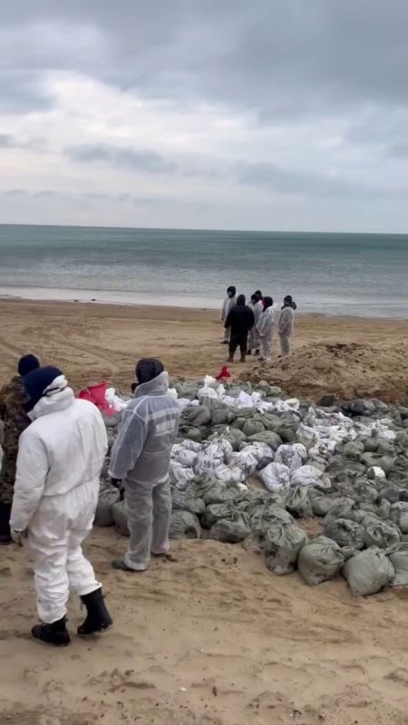 ����� 2025 ���� ��-����� ��������� ����.jpg