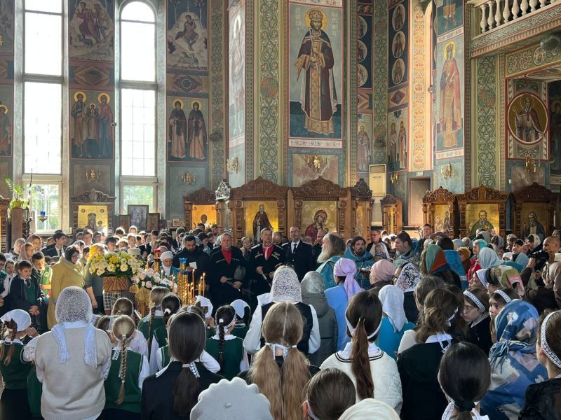 ���� ��������.jpg