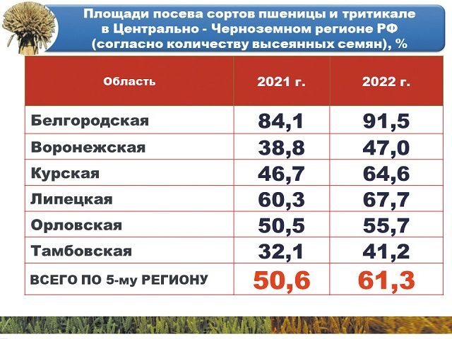 8.02.2023.jpg