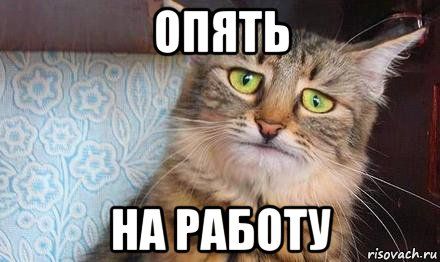21a7da6171eb6aa11ed0674582c73e3e.jpg