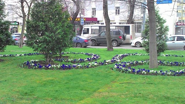 P_20160328_085836.jpg