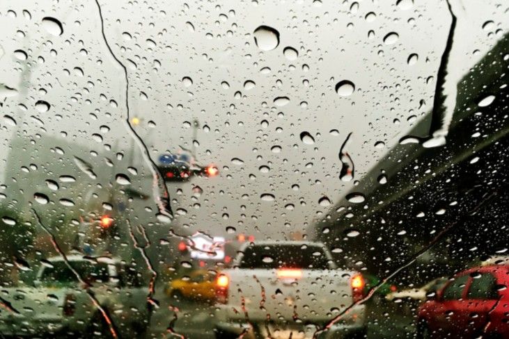 ����� �����.jpg