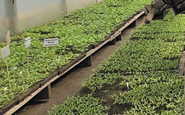 ��� �����-1.jpg