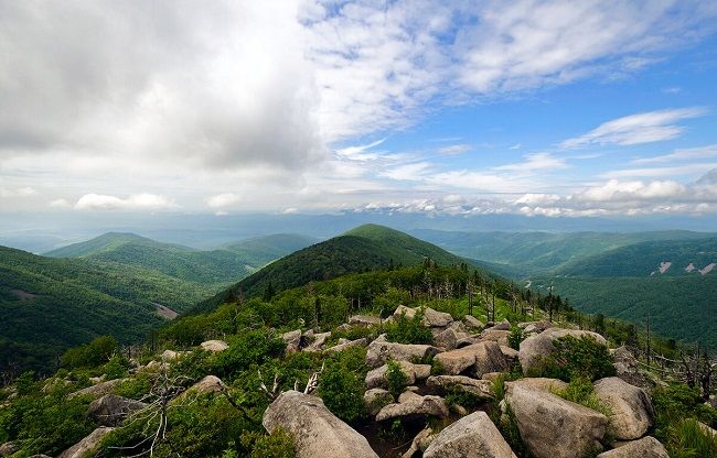 scale_1200 (6).jpg scale_1200 (6).jpg