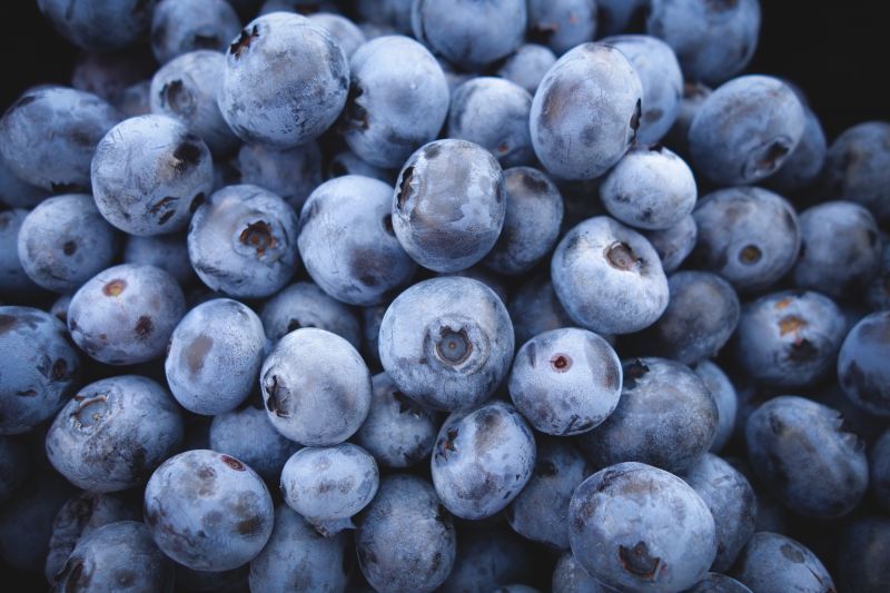 plant-fruit-berry-food-produce-blueberry-5023-pxhere.com.jpg