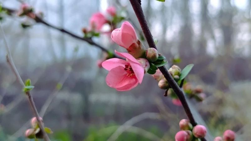 ������� ������pg.jpg