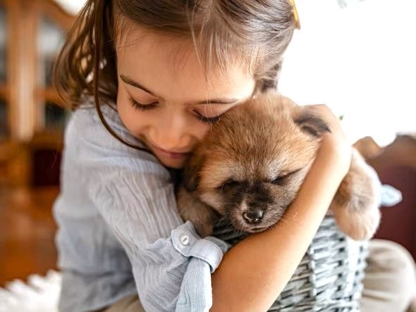 a-little-girl-loves-and-hugs-her-little-puppy_169016-12355.jpeg.jpg