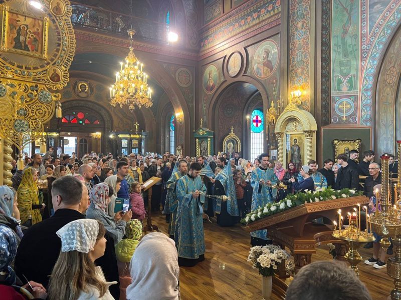 �����-�������� ���.jpg