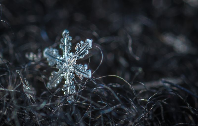 snow-macro-snowflake-nature-freezing-macro-photography-1421835-pxhere.com.jpg