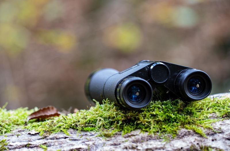 binoculars-g06d05c396_1920.jpg