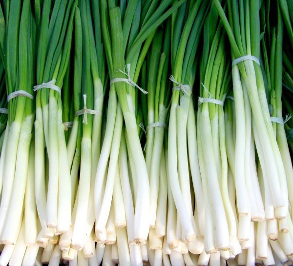green_onion_spring_onions_vegetables-1078863.jpeg