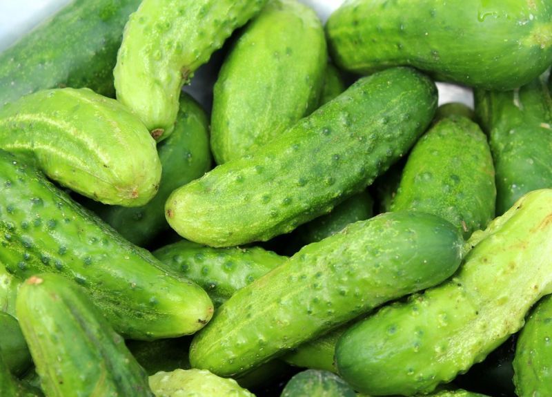 cucumbers-3534185_960_720.jpg cucumbers-3534185_960_720.jpg