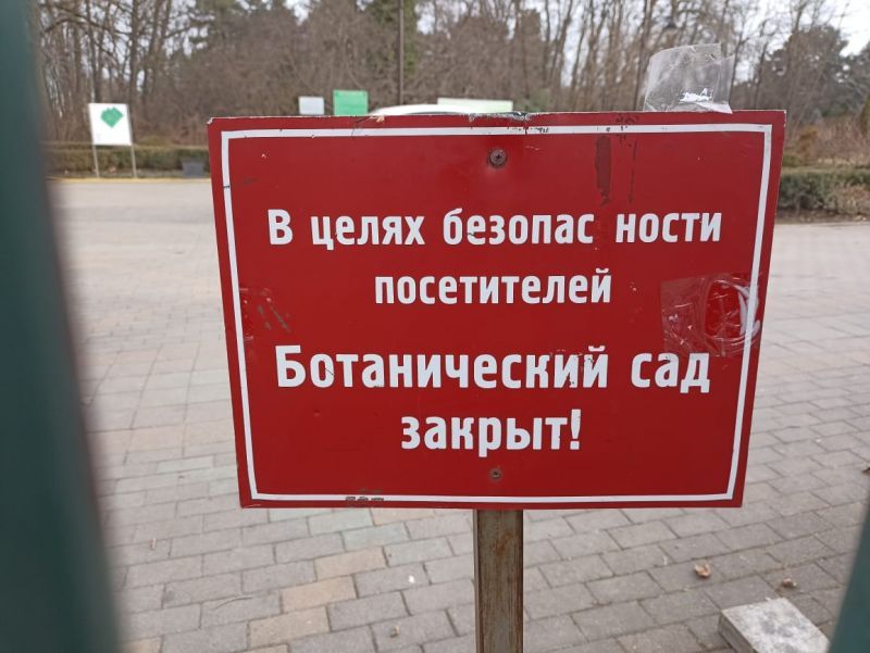 24d90cff-fb26-46f6-9464-ffacd9fdbbab.jpg