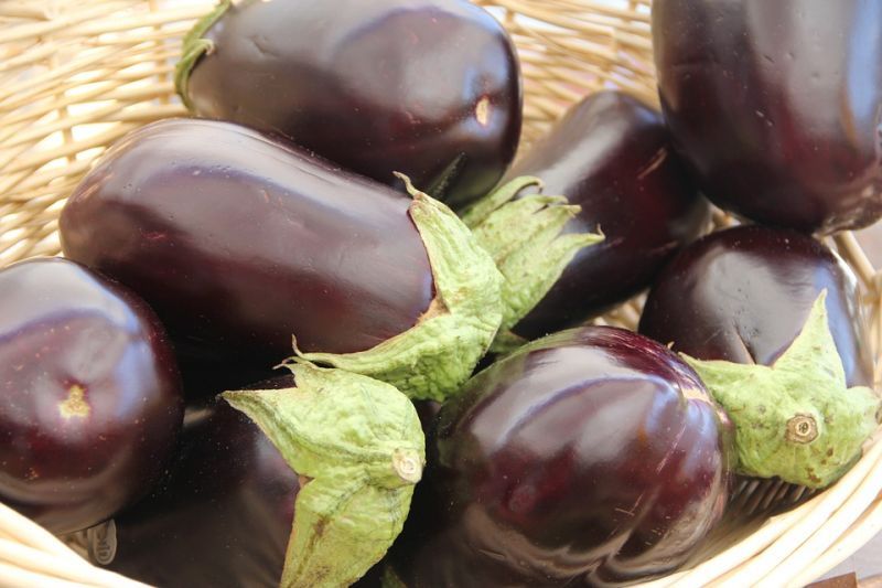 eggplant-237448_960_720.jpg eggplant-237448_960_720.jpg