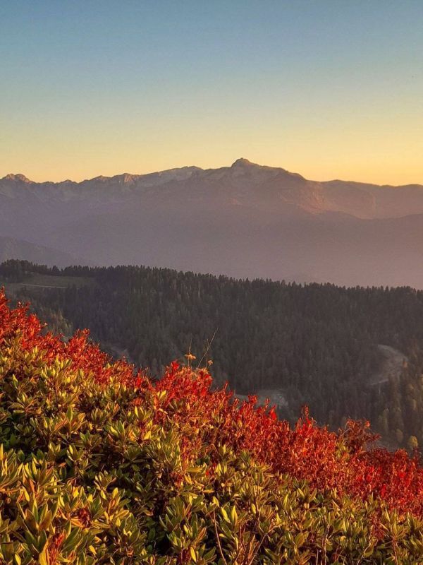 ����� ���� ������� � �����.jpg