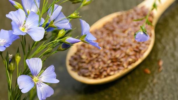 blue-flower_937048-68.jpg