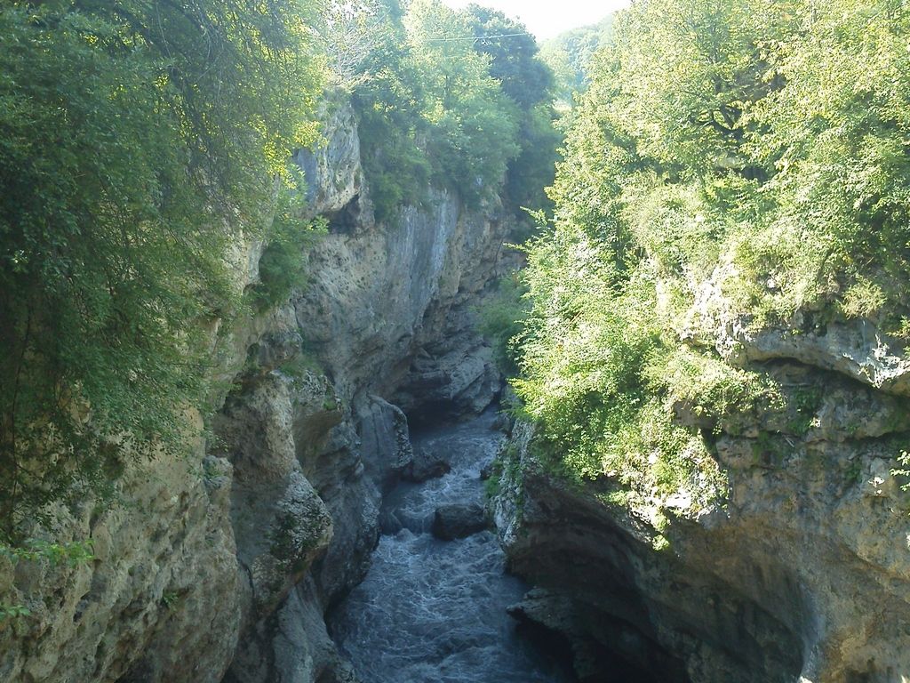 IMG_20120626_100211.jpg