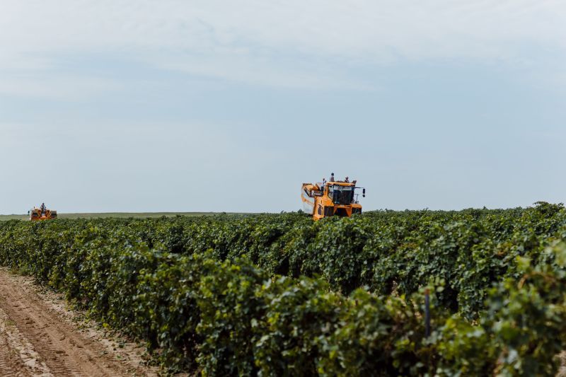 ������ ����� 1 (1).jpg