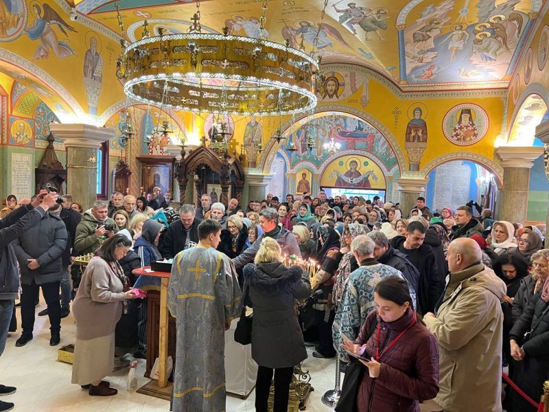 ������� 3.jpg