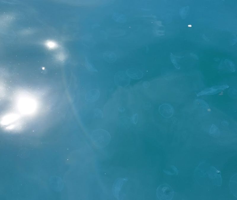3078186f-d09f-44a1-8727-5efbcdc6e8e9.jpg 3078186f-d09f-44a1-8727-5efbcdc6e8e9.jpg