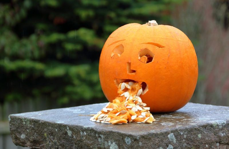 pumpkin-3630614_960_720.jpg pumpkin-3630614_960_720.jpg