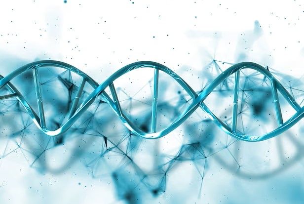 3d-plexus-and-dna-strand_1048-12511.jpeg.jpg