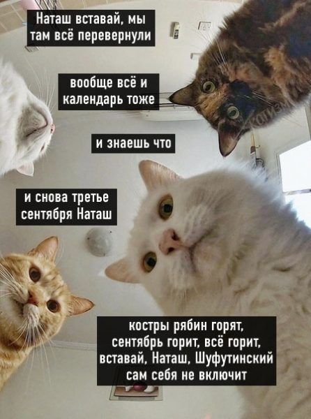 .jpg