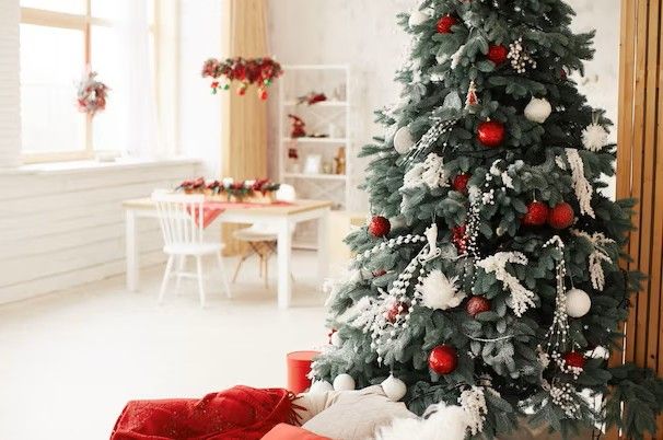 ������ �� ���� � ���������.jpg