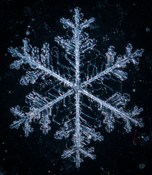 snow-macro-snowflake-frost-winter-christmas-tree-1421829-pxhere.com.jpg