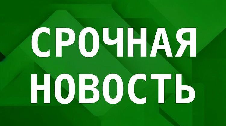 ����� �������� � ������� �����������: � ���������� ����� ������� 