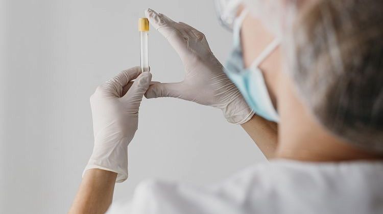 � ������ ���������� �����������: ��������� ���� �����, ������ � �������� �� ���������� �������