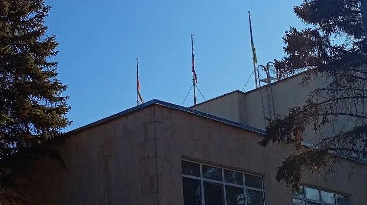 � ����������� �������� ����������� �����: ����������� ���������� ������ �� ����� ���������� ��