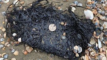  Мазут ползет вверх по Азовскому морю: дошел до урочища Кучугуры и Ачуево Славянского района