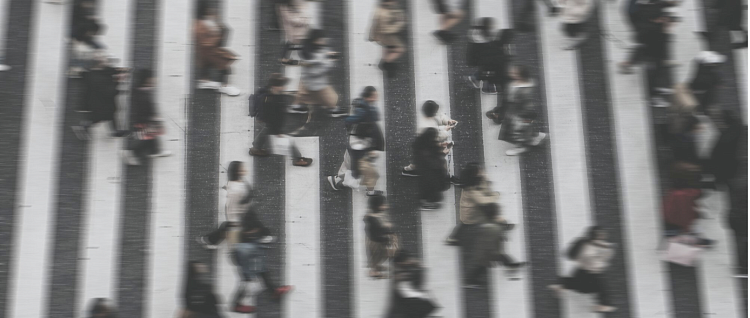 ��������� ���� �������: ������ ���� ��������� �������!