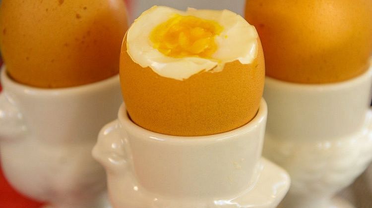 ���� � ��������: ��� ��������� ������ � ������ ������ ���� ���������