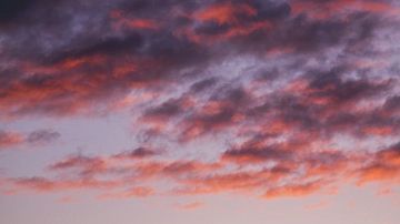 �� ����� ��� ��������� ������ ����� 1134 ���������� ������������� � 11 ����������� ��������