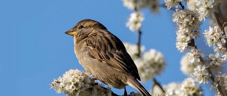 � ������ �������� ���� �������� ��������: ����������� �����