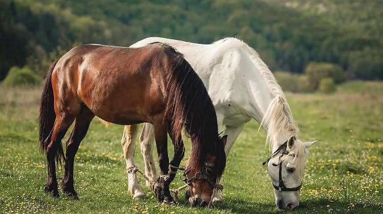 ��������� ��� �����! ���� ������ �������� �������� ���������� ������