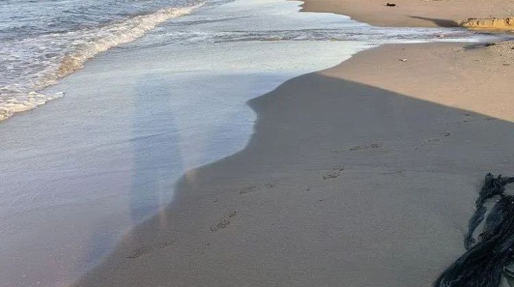 Внимание! В Анапе на «Высоком берегу» зафиксированы мазутные пятна Внимание! В Анапе на «Высоком берегу» зафиксированы мазутные пятна