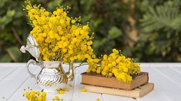 ������ ���������� ������ ������ �������: ��� ������� �� 8 �����?