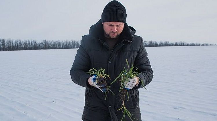 ��� ������, ������ ����? ����� � ����� ����. ����� � ���������!